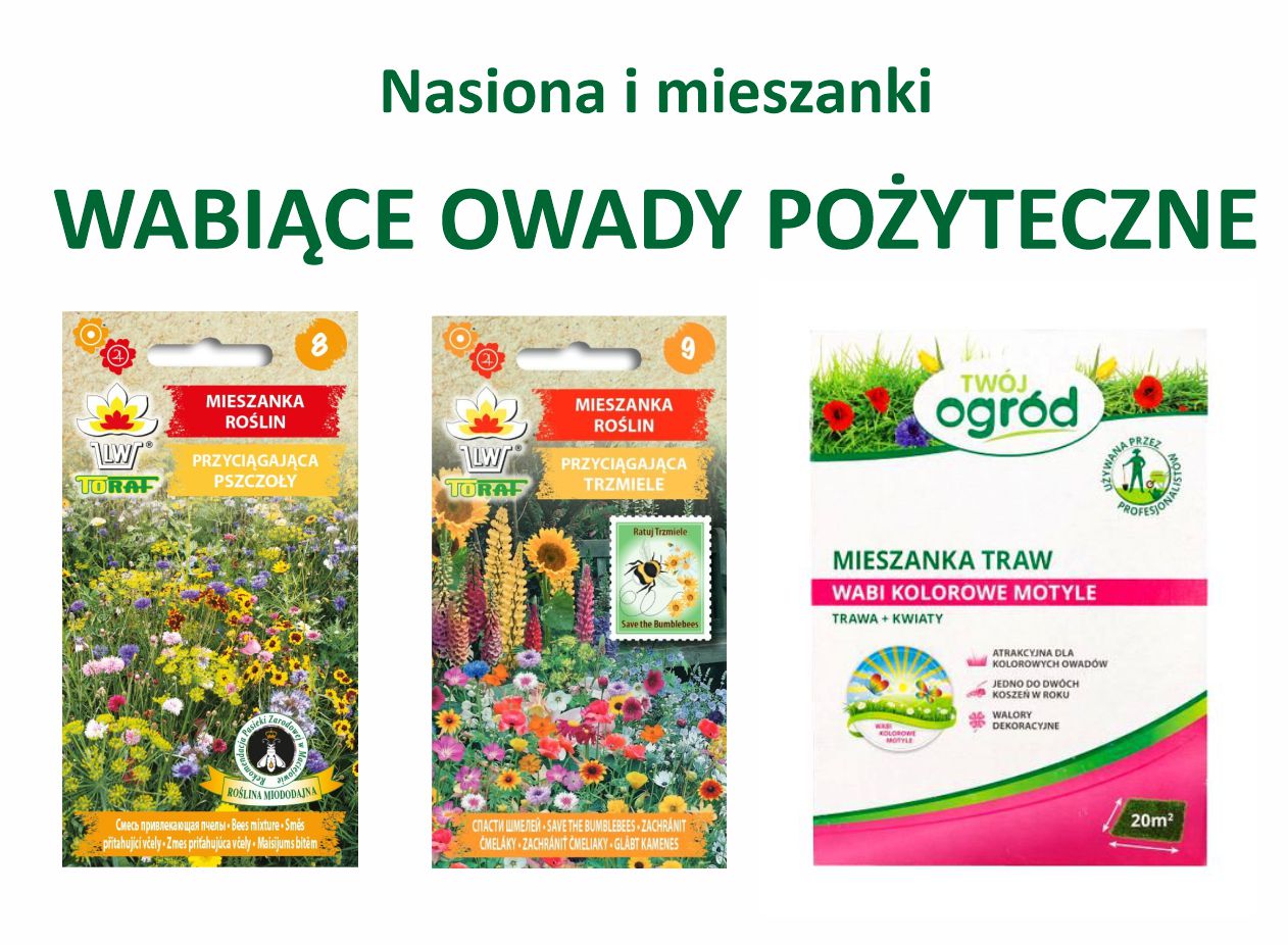 Banery_strona główna9.jpg